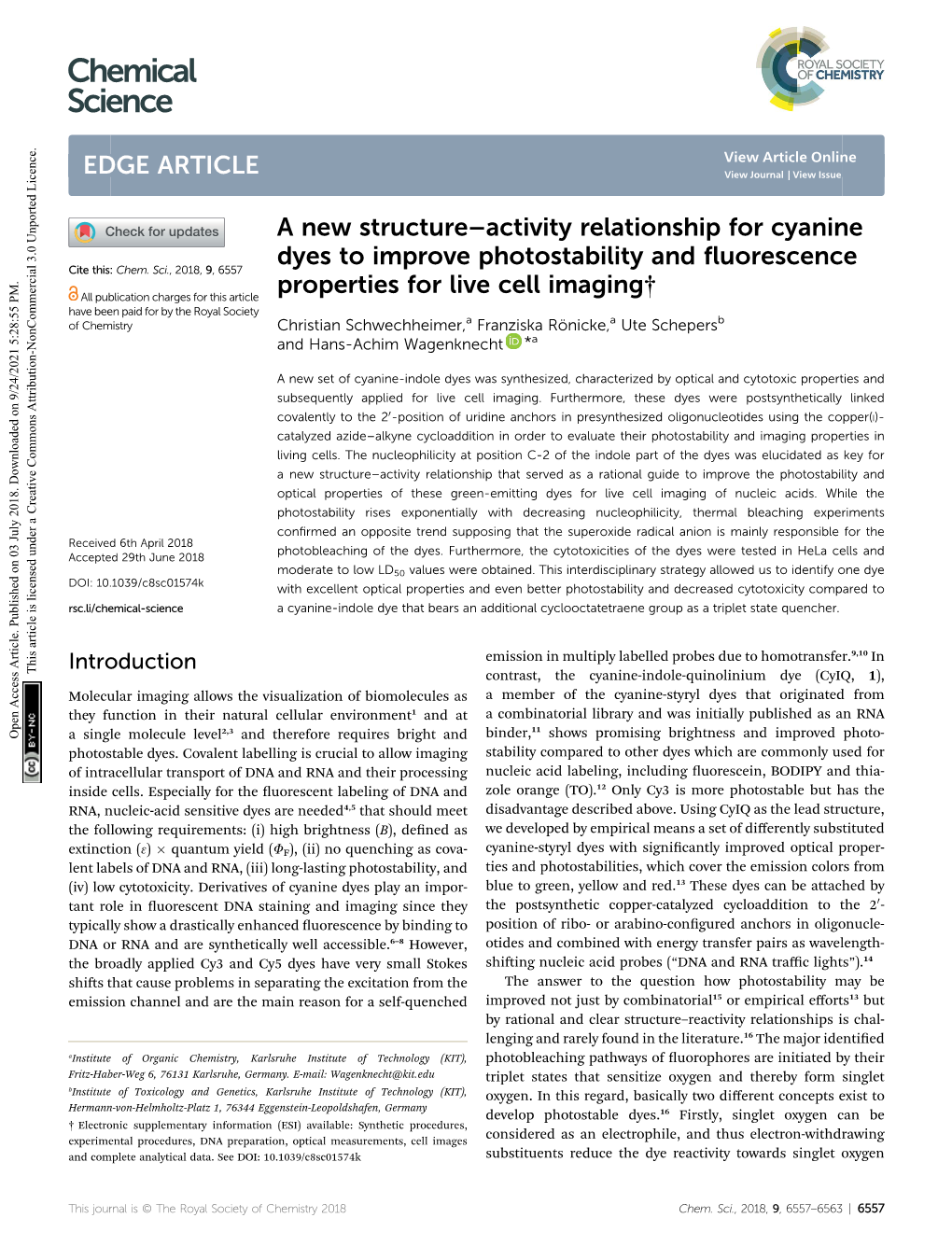 A New Structure–Activity Relationship for Cyanine Dyes to Improve Photostability and ﬂuorescence Cite This: Chem