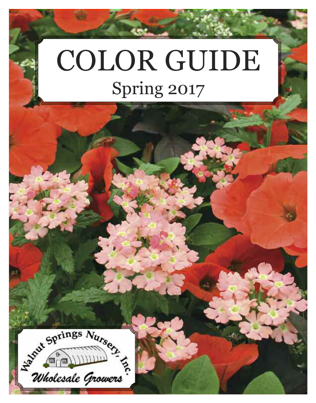 Spring 2017 Color Guide