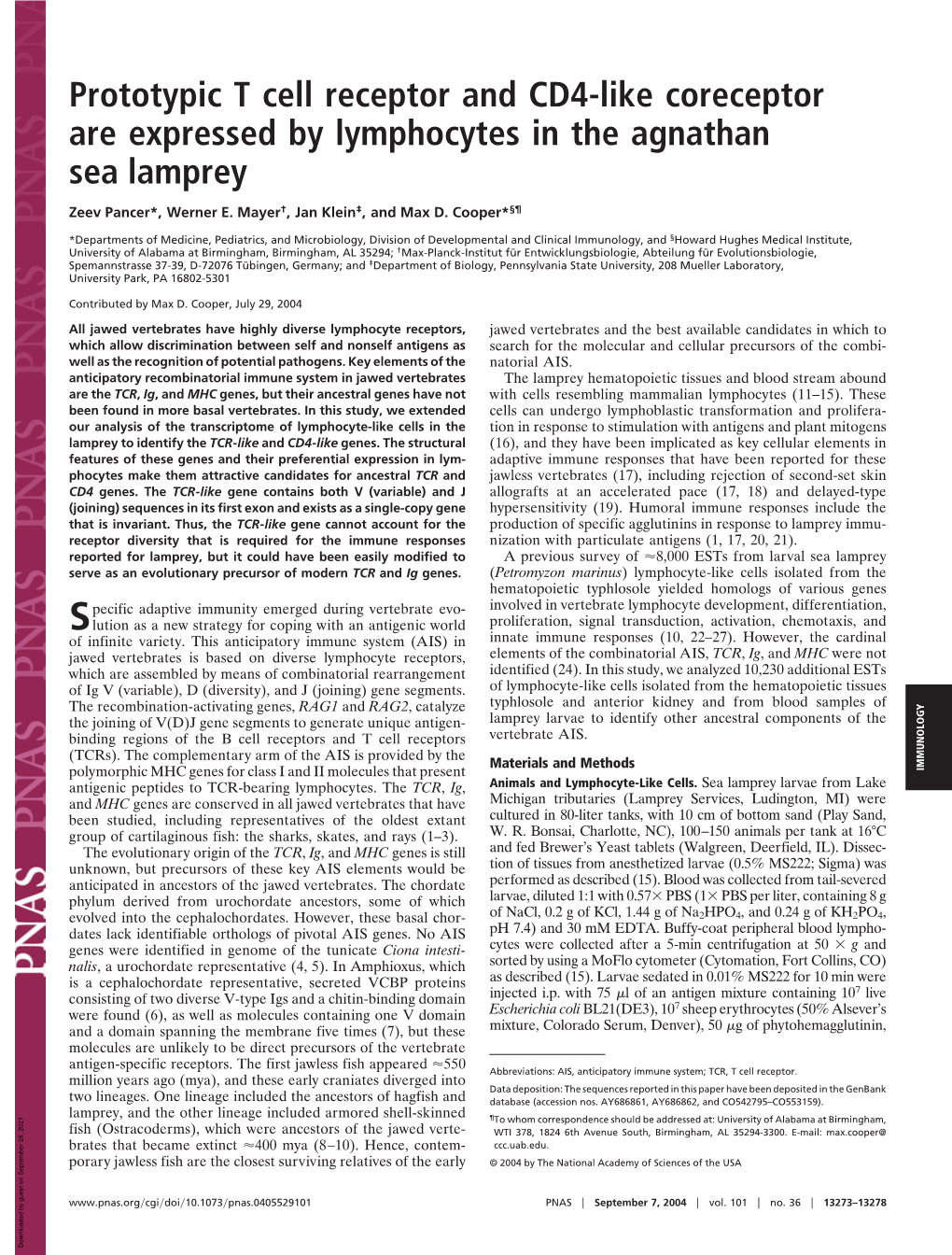 Prototypic T Cell Receptor and CD4-Like Coreceptor Are Expressed by Lymphocytes in the Agnathan Sea Lamprey