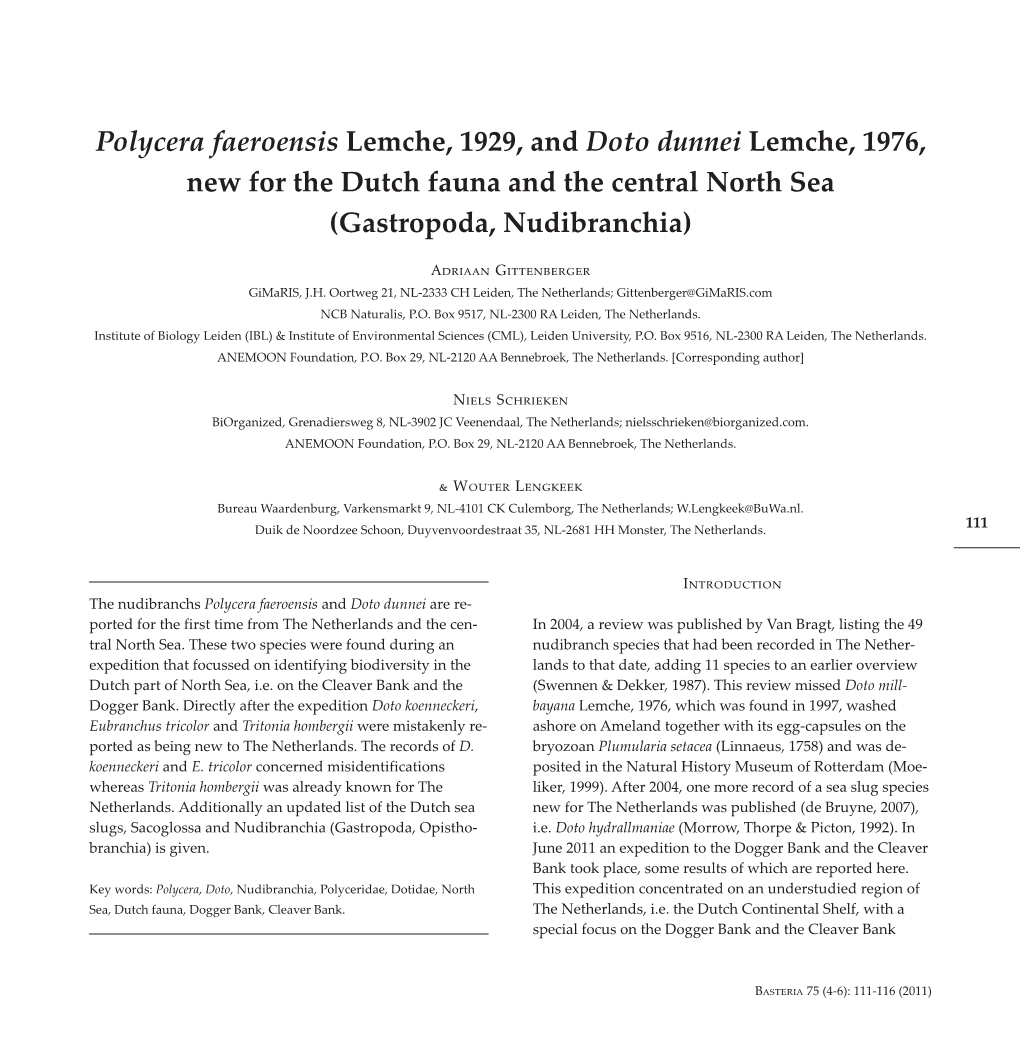 Polycera Faeroensis Lemche, 1929, and Doto Dunnei Lemche, 1976, New for the Dutch Fauna and the Central North Sea (Gastropoda, Nudibranchia)