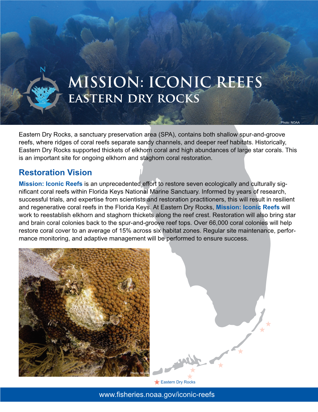 MISSION: ICONIC REEFS Eastern Dry Rocks