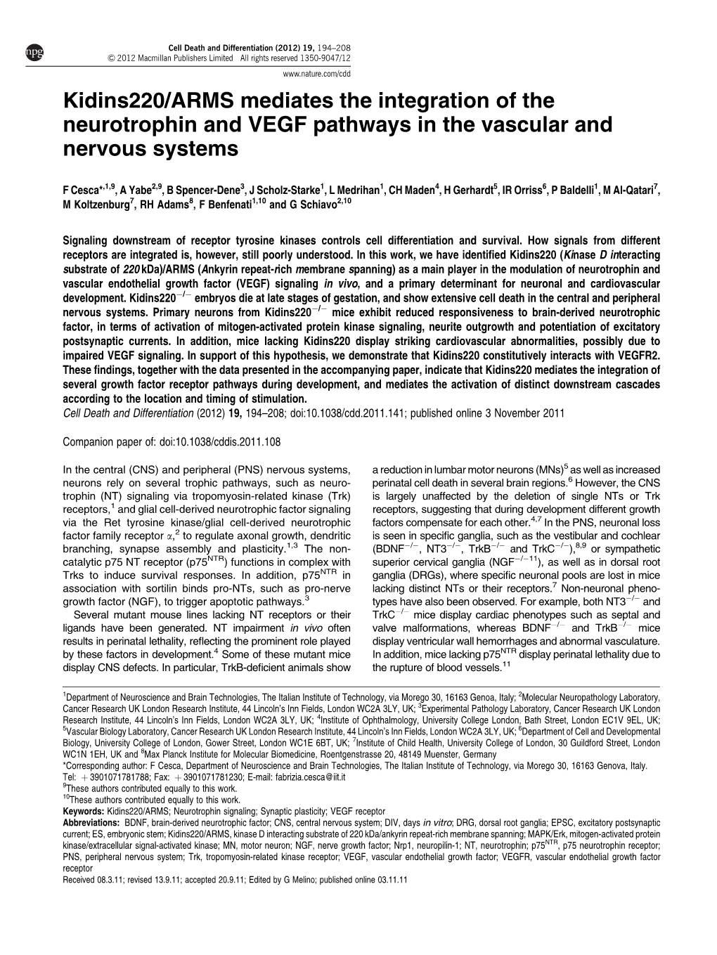 Kidins220/ARMS Mediates the Integration of the Neurotrophin and VEGF Pathways in the Vascular and Nervous Systems