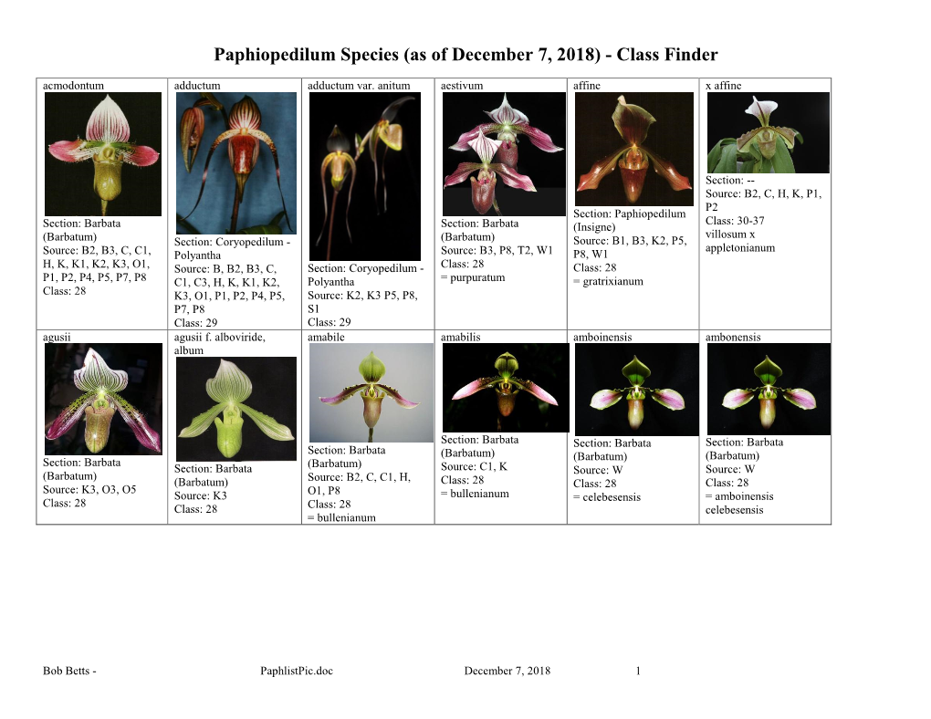 Paphiopedilum Species (As of December 7, 2018) - Class Finder Acmodontum Adductum Adductum Var