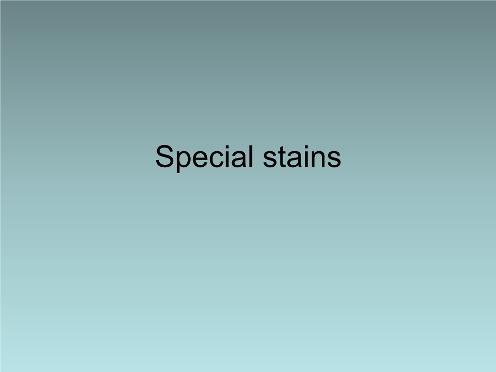 Special Stains Iron/Hemosiderin Prussian Blue