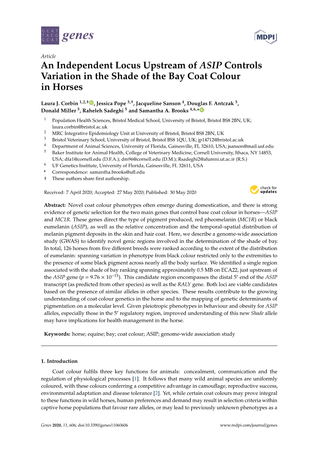 An Independent Locus Upstream of ASIP Controls Variation in the Shade of the Bay Coat Colour in Horses