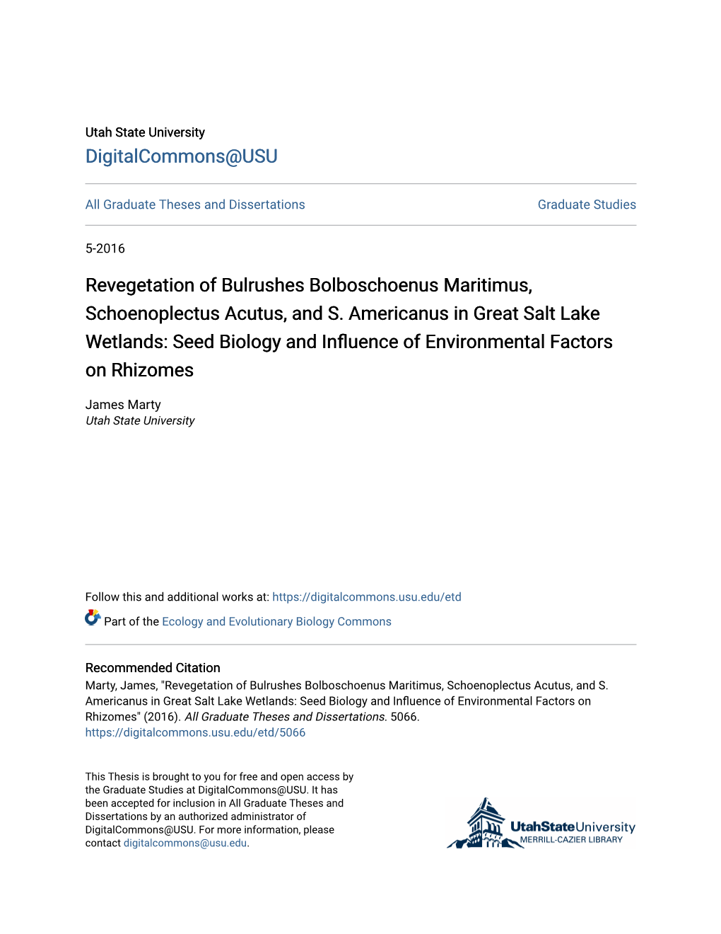 Revegetation of Bulrushes Bolboschoenus Maritimus, Schoenoplectus Acutus, and S