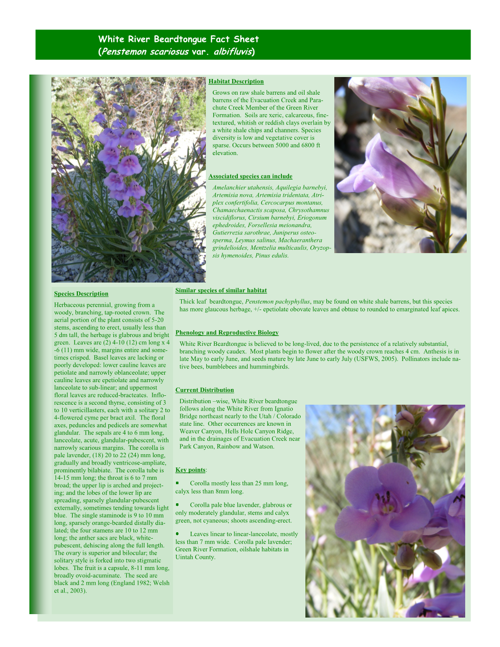 White River Beardtongue Fact Sheet (Penstemon Scariosus Var. Albifluvis)