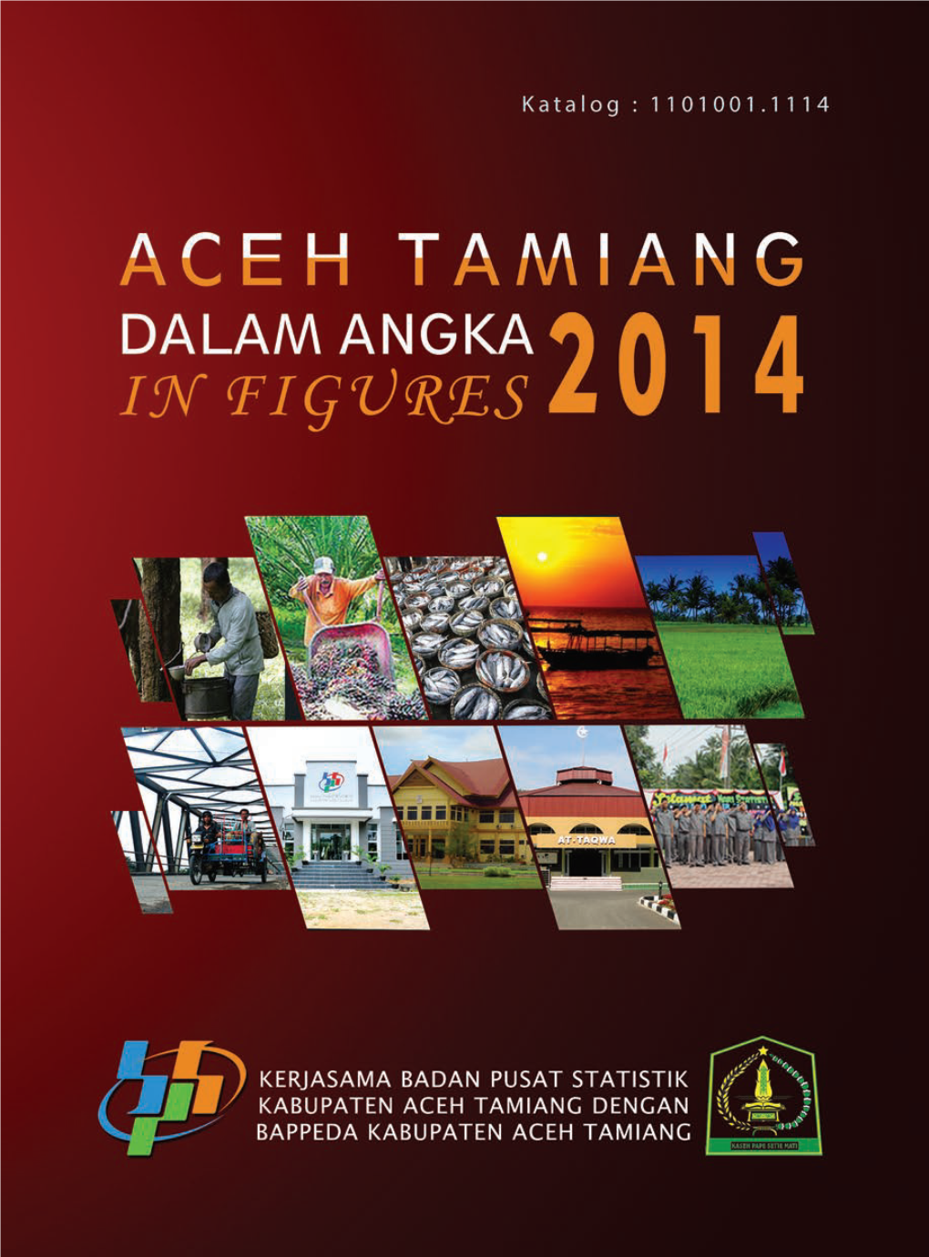 Data Pokok Kabupaten Aceh Tamiang 2014