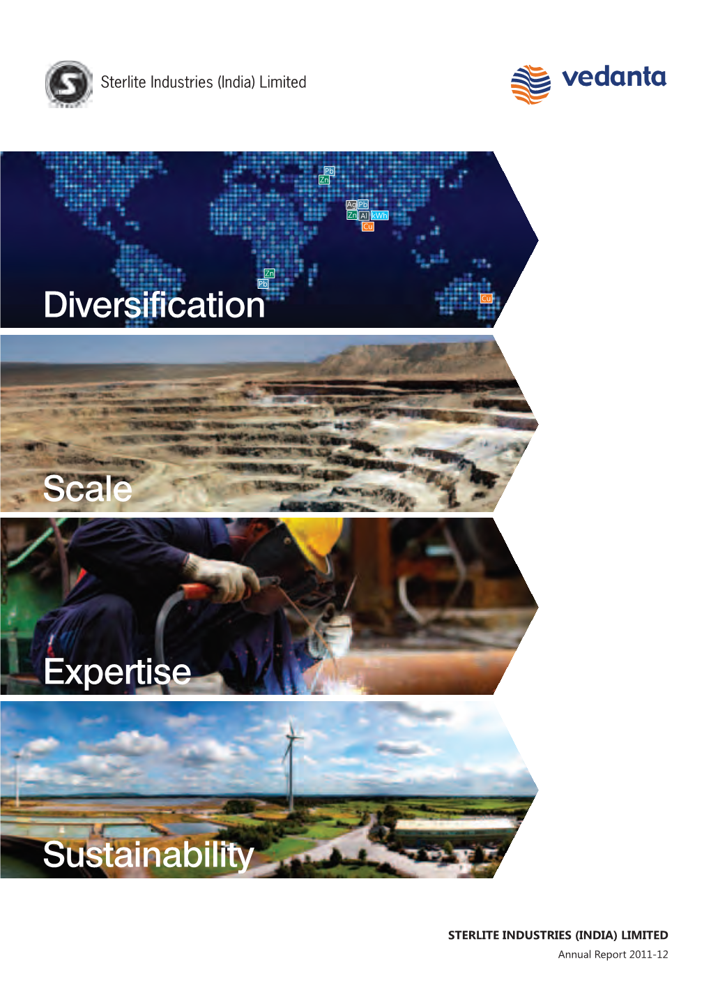 Diversification Scale Expertise Sustainability