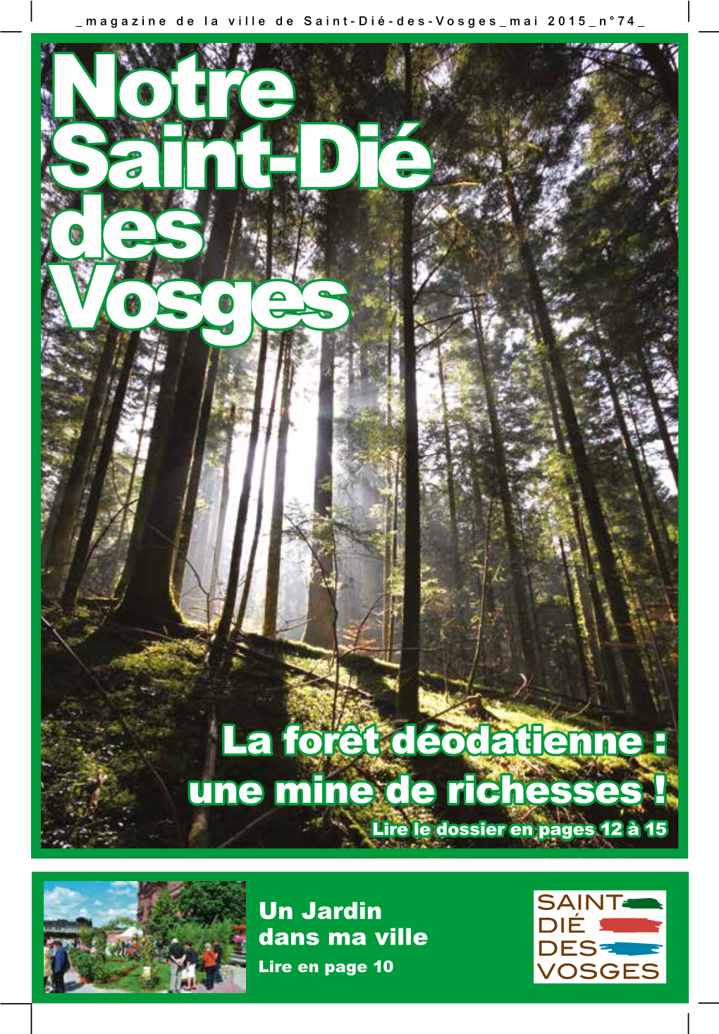 La Forêt Déodatienne : Une Mine De Richesses ! Lire Le Dossier En Pages 12 À 15