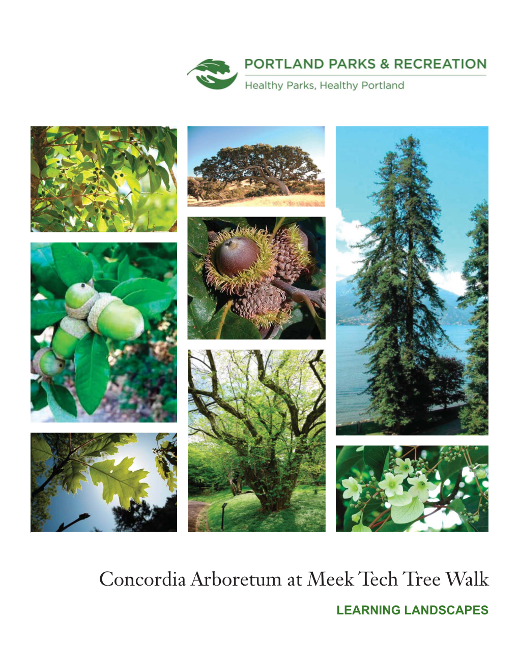 Download PDF File Concordia Arboretum at Meek Tech Tree Walk