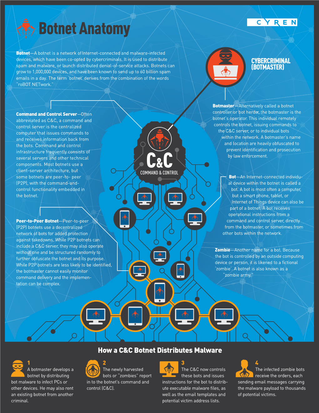 Botnet Anatomy