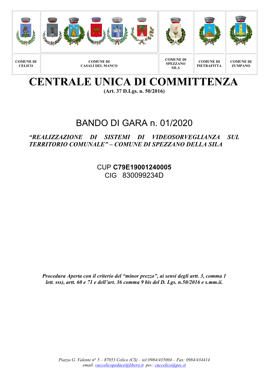 CENTRALE UNICA DI COMMITTENZA (Art