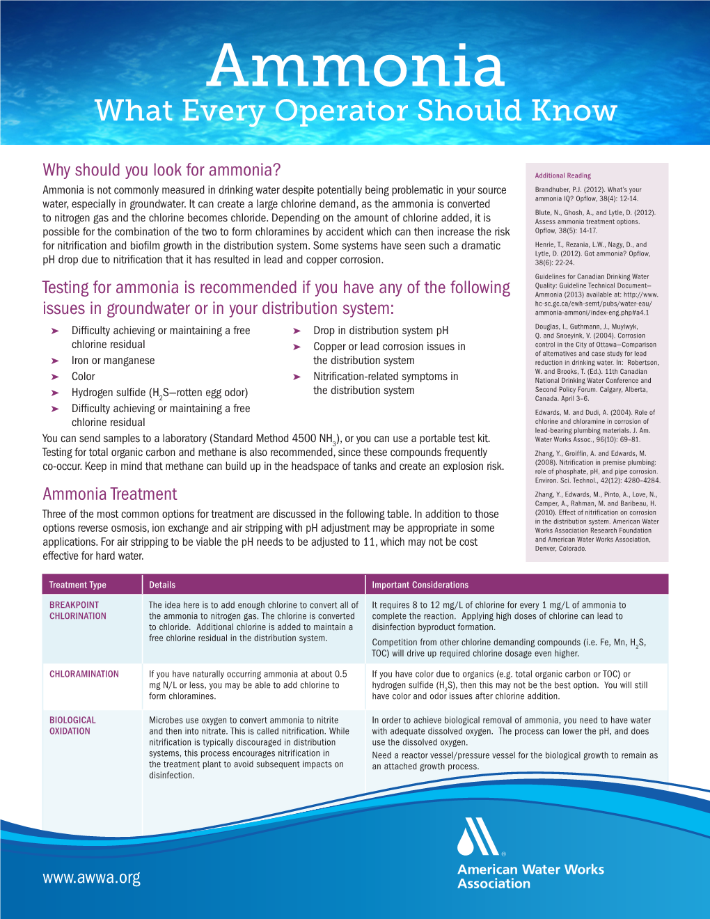 Ammonia What Every Operator Should Know