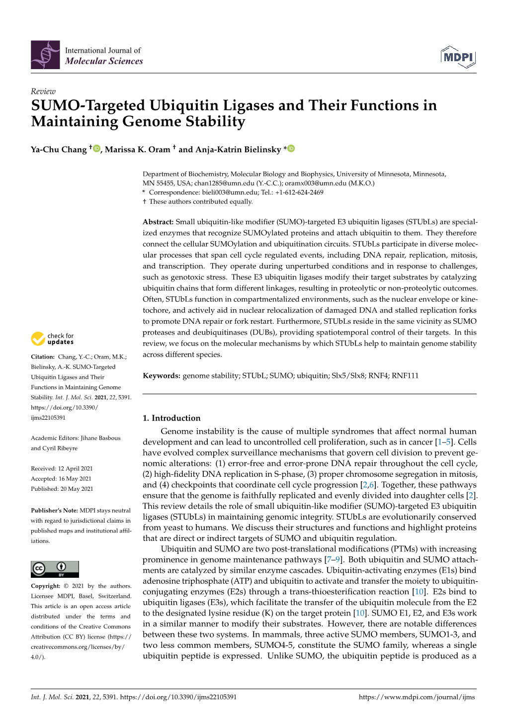 SUMO-Targeted Ubiquitin Ligases and Their Functions in Maintaining Genome Stability