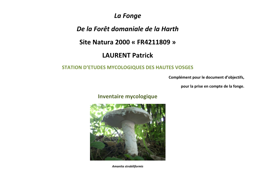 La Fonge De La Forêt Domaniale De La Harth Site Natura 2000 « FR4211809 » LAURENT Patrick