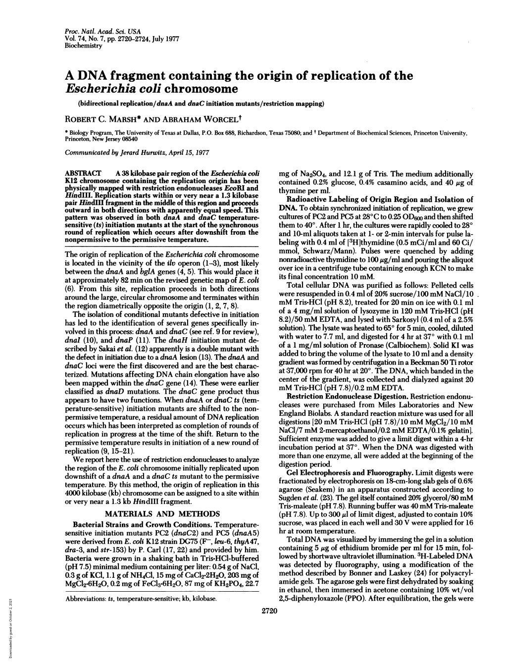 A DNA Fragment Containing the Origin of Replication Of