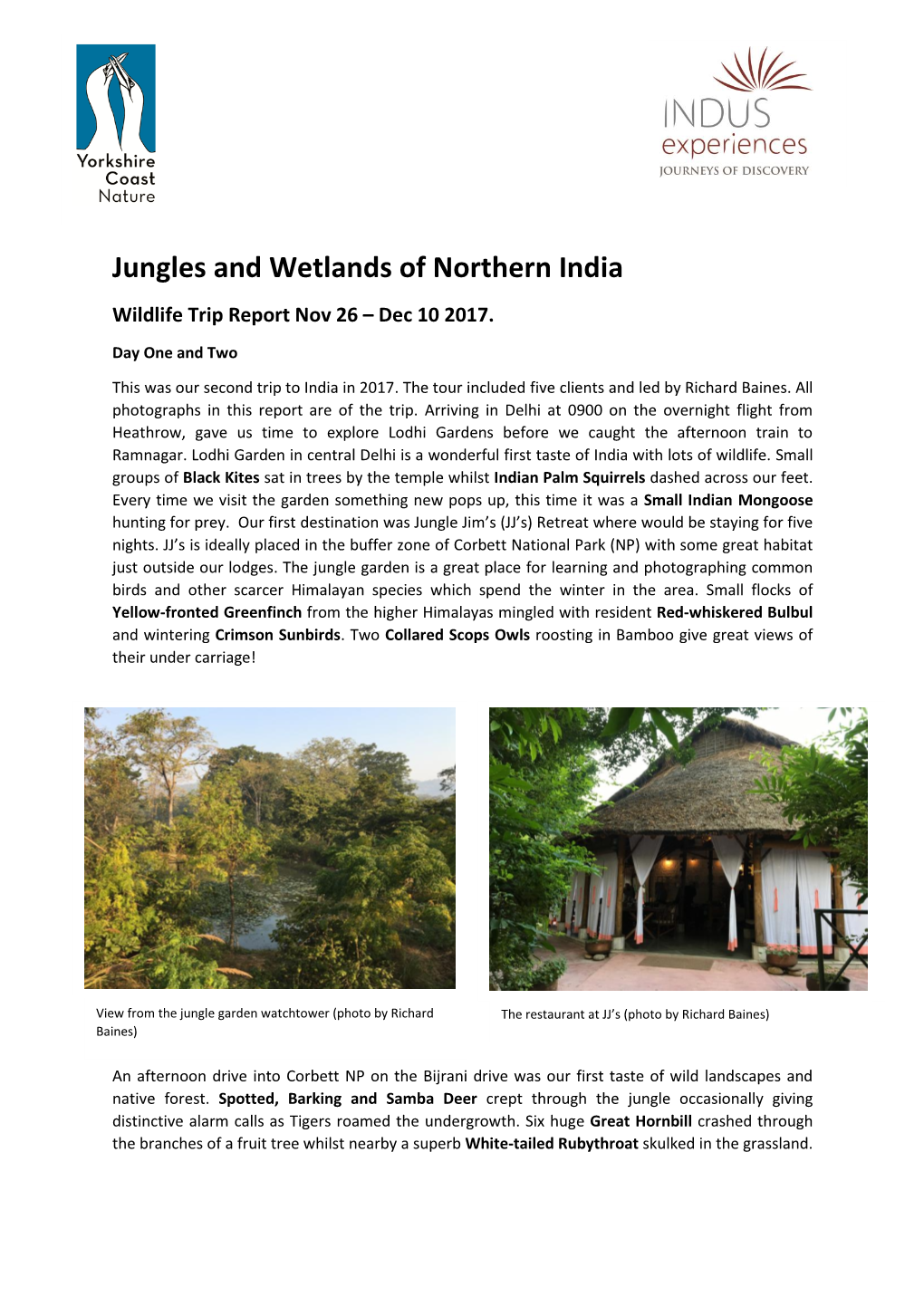 Jungles and Wetlands of Northern India Wildlife Trip Report Nov 26 – Dec 10 2017