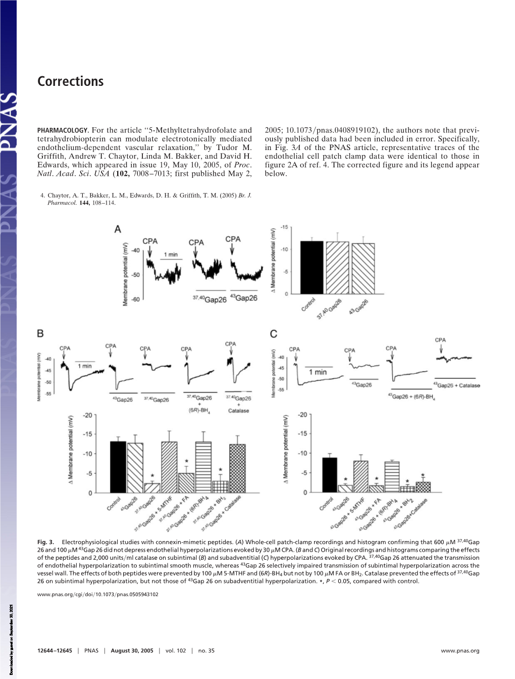 Caveolin-1 Expression by Means of P38β Mitogen-Activated Protein