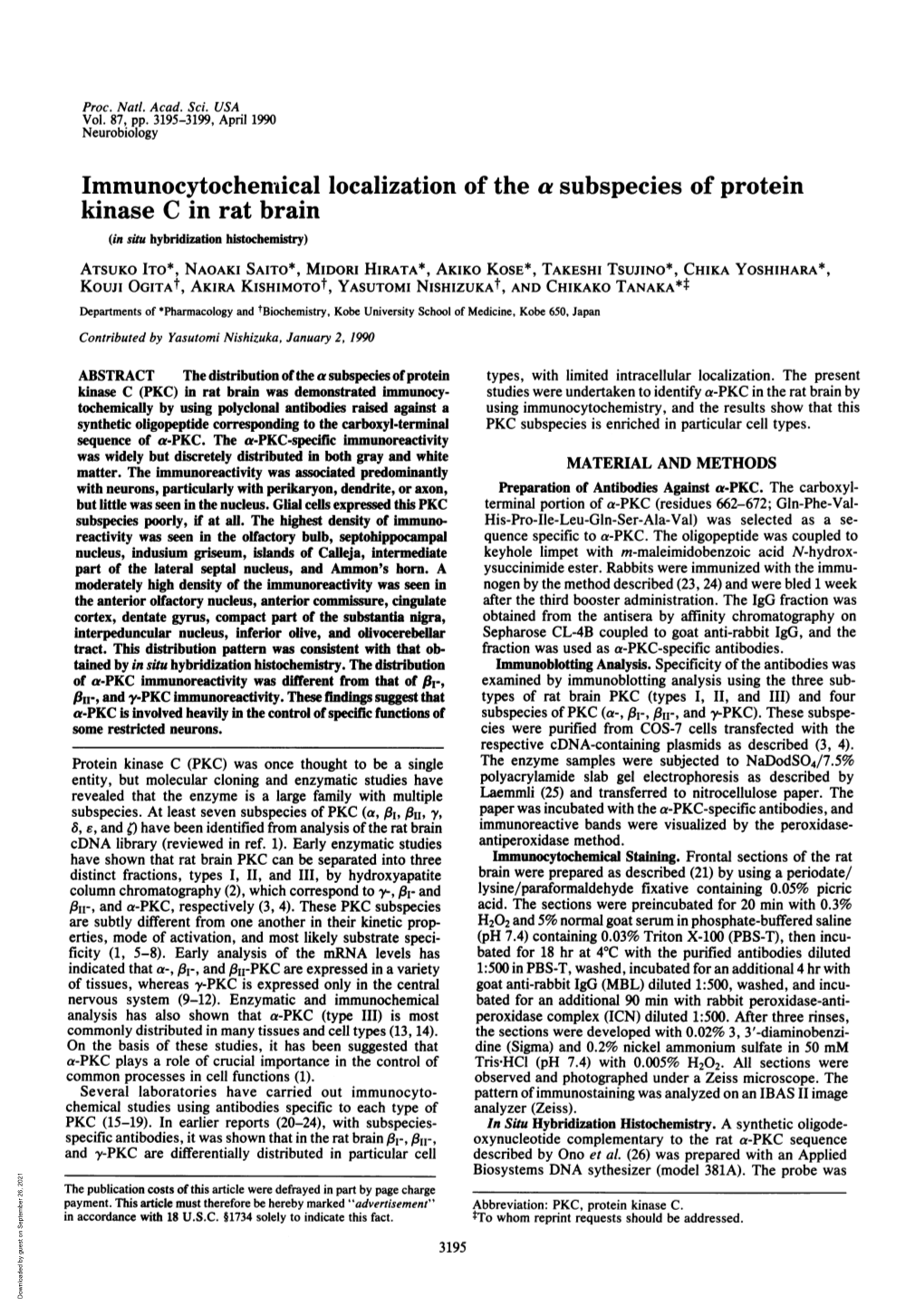 Immunocytocheniical Localization of the a Subspecies of Protein Kinase