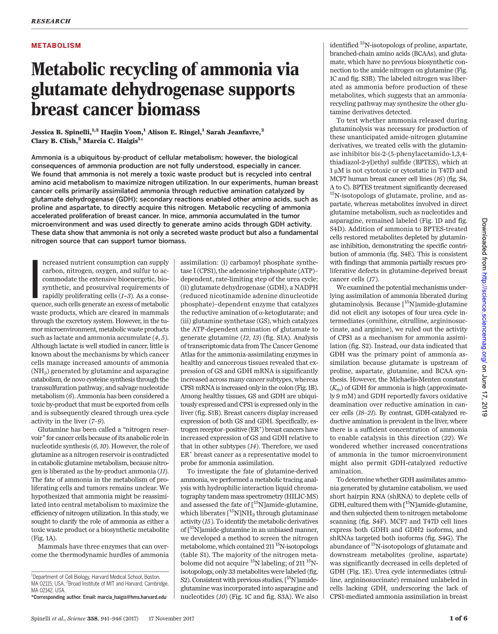 Ammonia Metabolism in Cancer 2017 Science