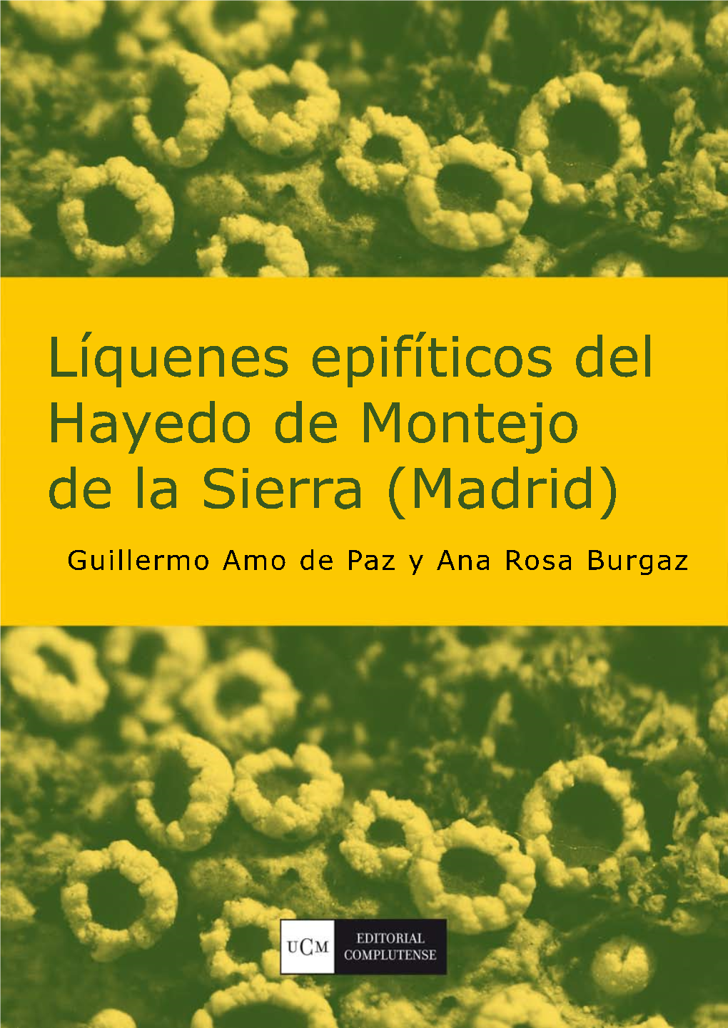 Líquenes Epífitos Del Hayedo De Montejo