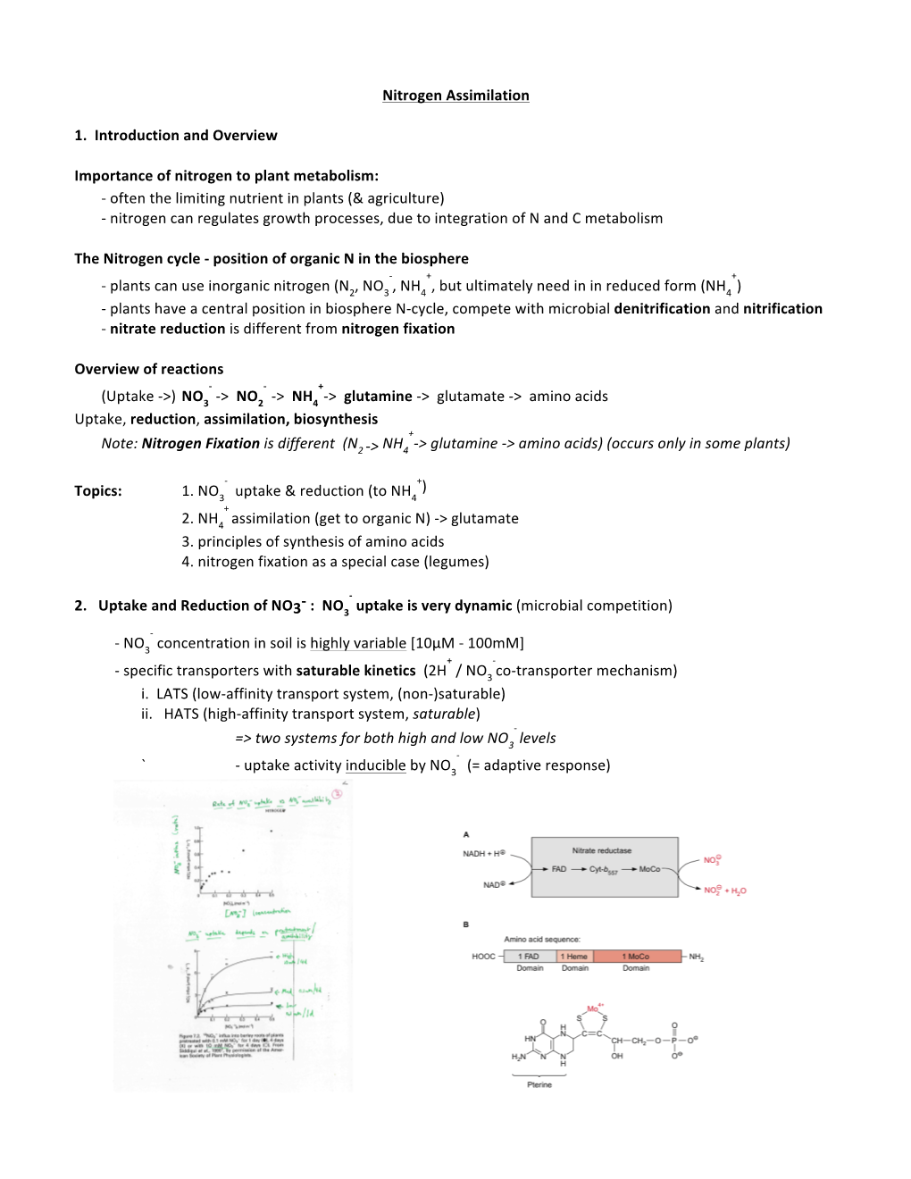 Nitrogen Assimilation 1. Introduction and Overview Importance Of