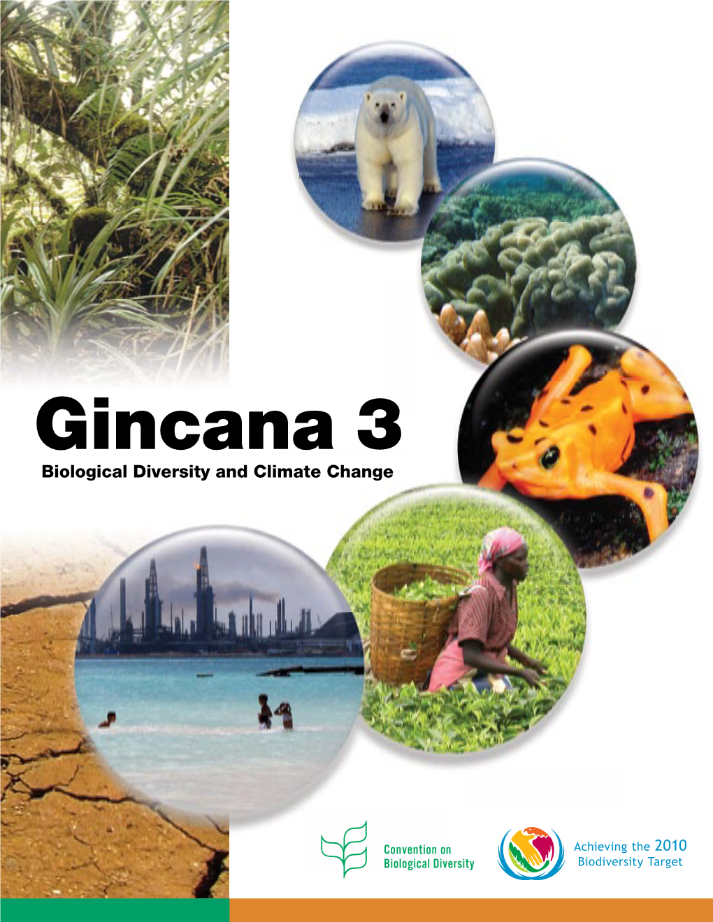 Gincana 3: Biological Diversity and Climate Change