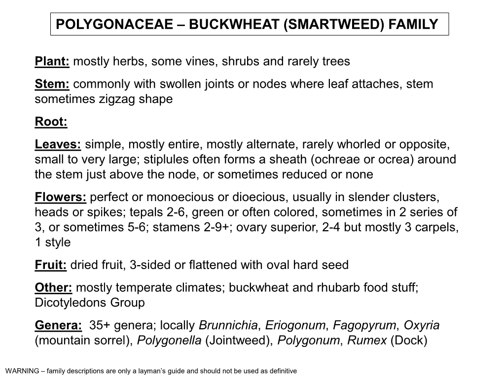 Polygonaceae – Buckwheat (Smartweed) Family