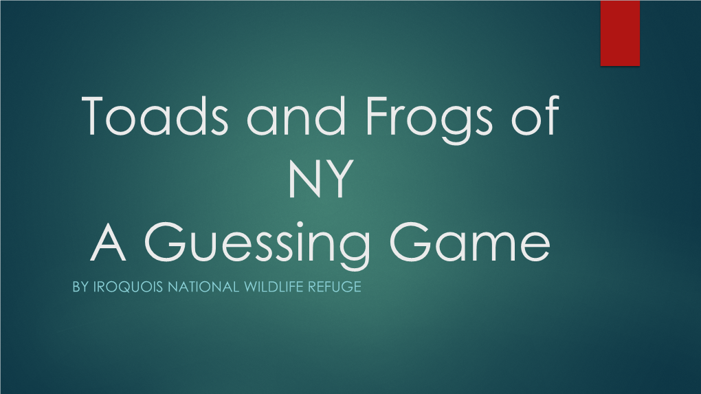 Toads and Frogs of NY Guessing Game