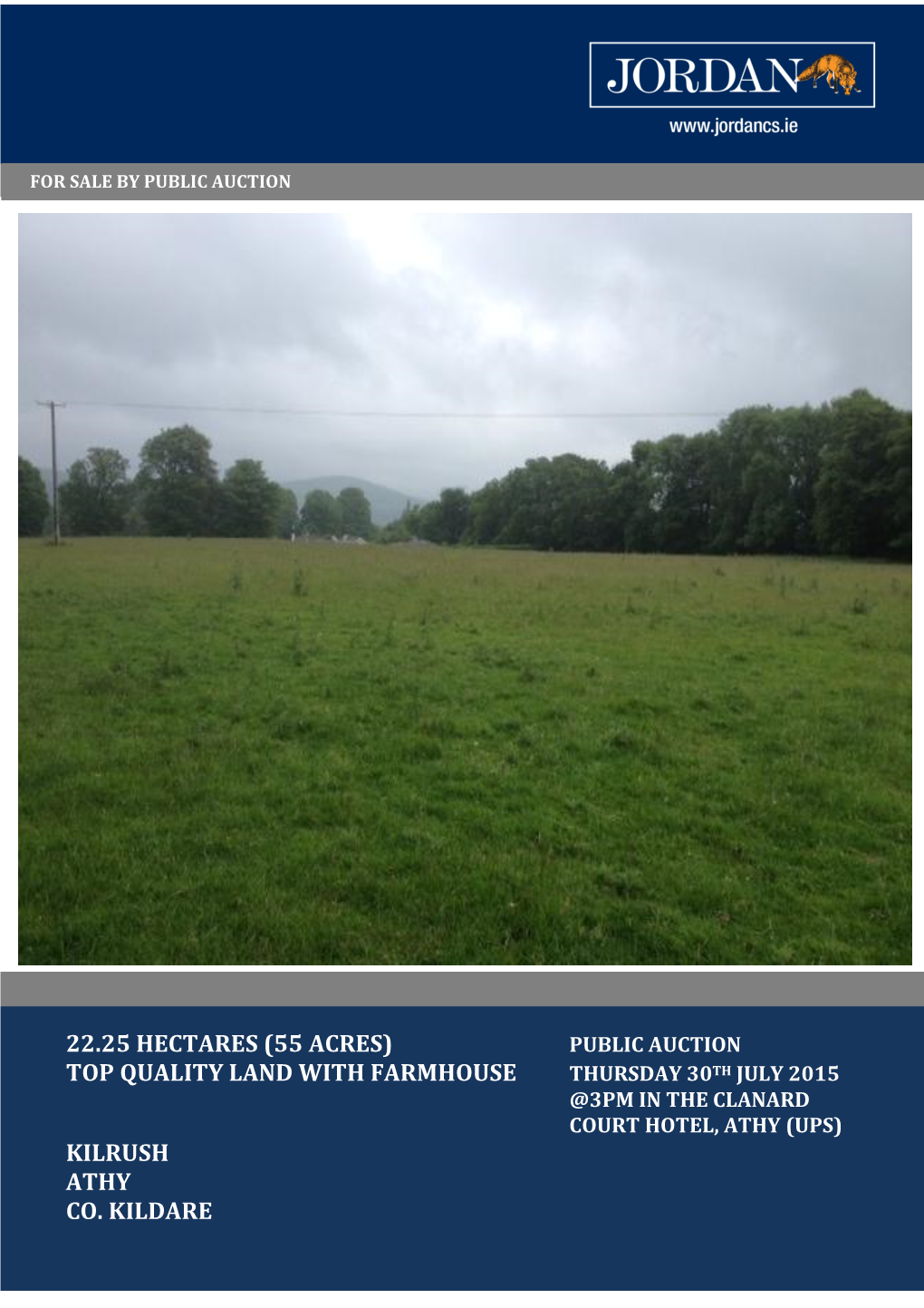 Top Quality Land with Farmhouse Kilrush Athy Co