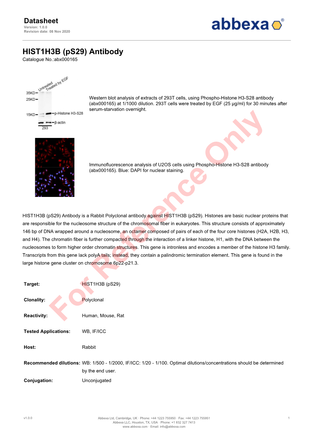 HIST1H3B (Ps29) Antibody Catalogue No.:Abx000165