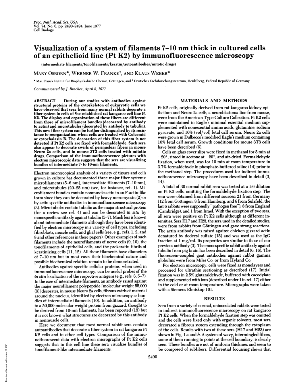 Visualization of a System of Filaments 7-10 Nm Thick in Cultured Cells of An