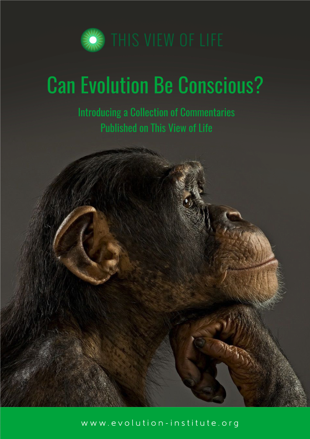 Can Evolution Be Conscious? 1