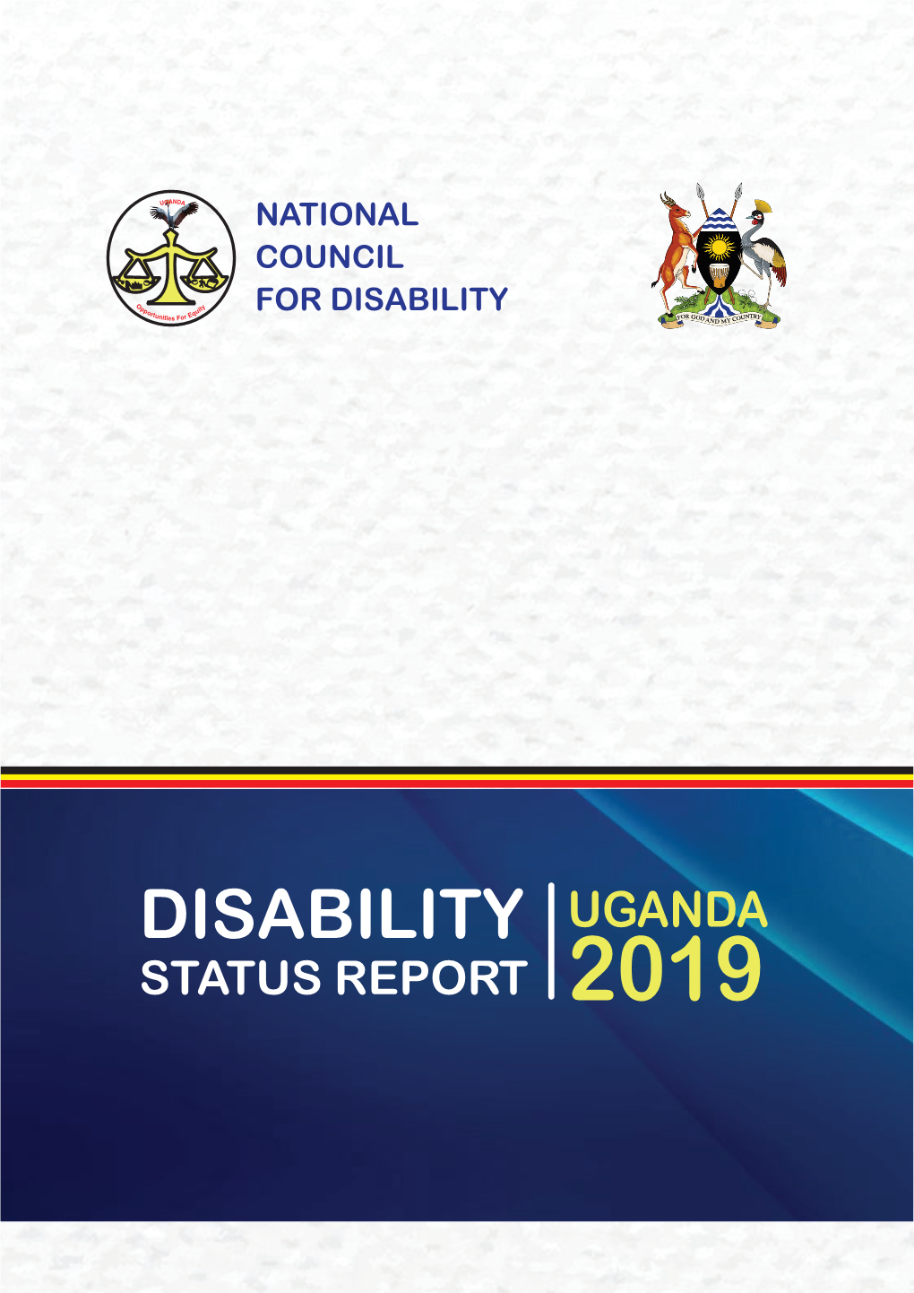 Disability-Report-2019-P-1.Pdf