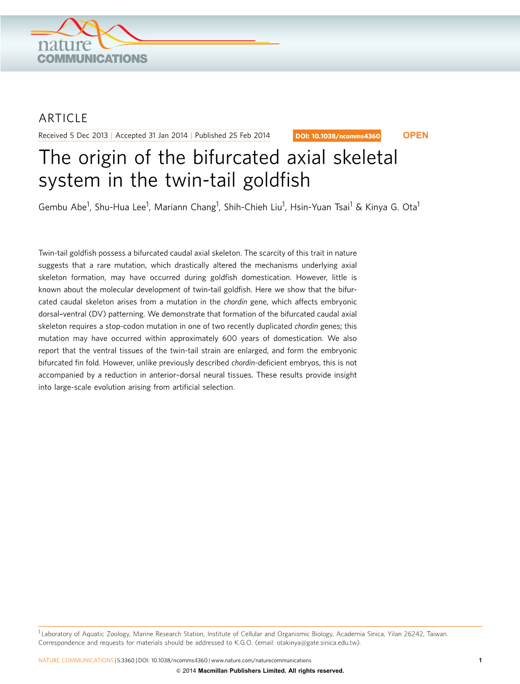 The Origin of the Bifurcated Axial Skeletal System in the Twin-Tail Goldfish