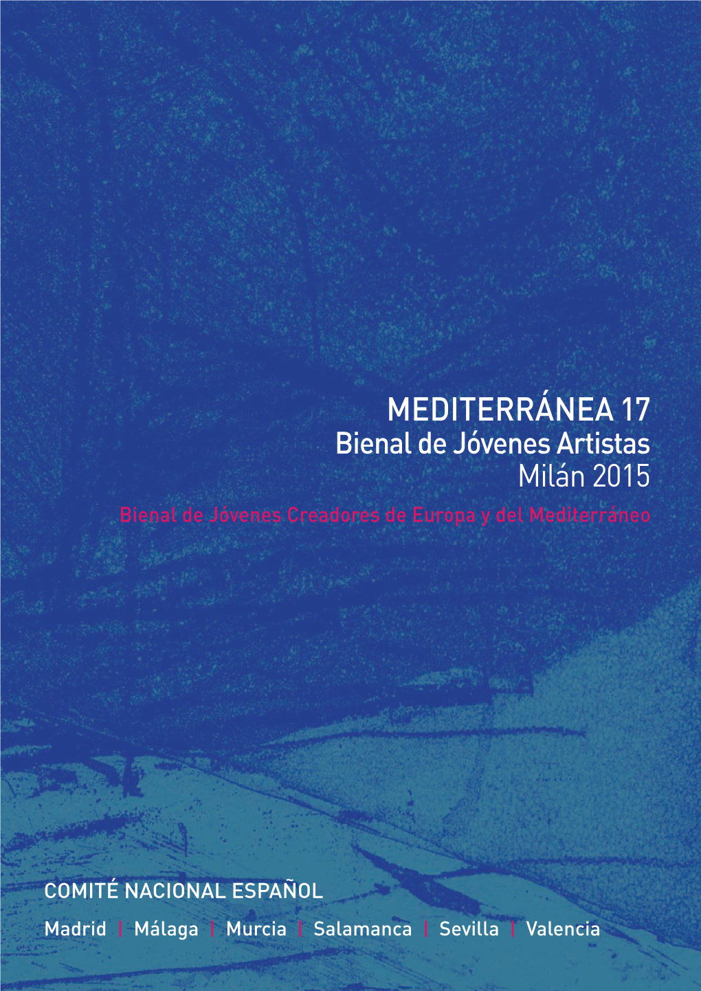 Catálogo De La Bienal De Jóvenes Creadores De Europa Y El Mediterráneo 2015