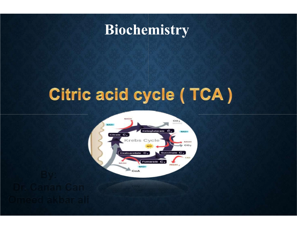 Citric Acid Cycle