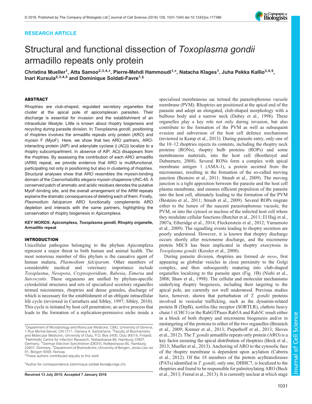 Toxoplasma Gondii