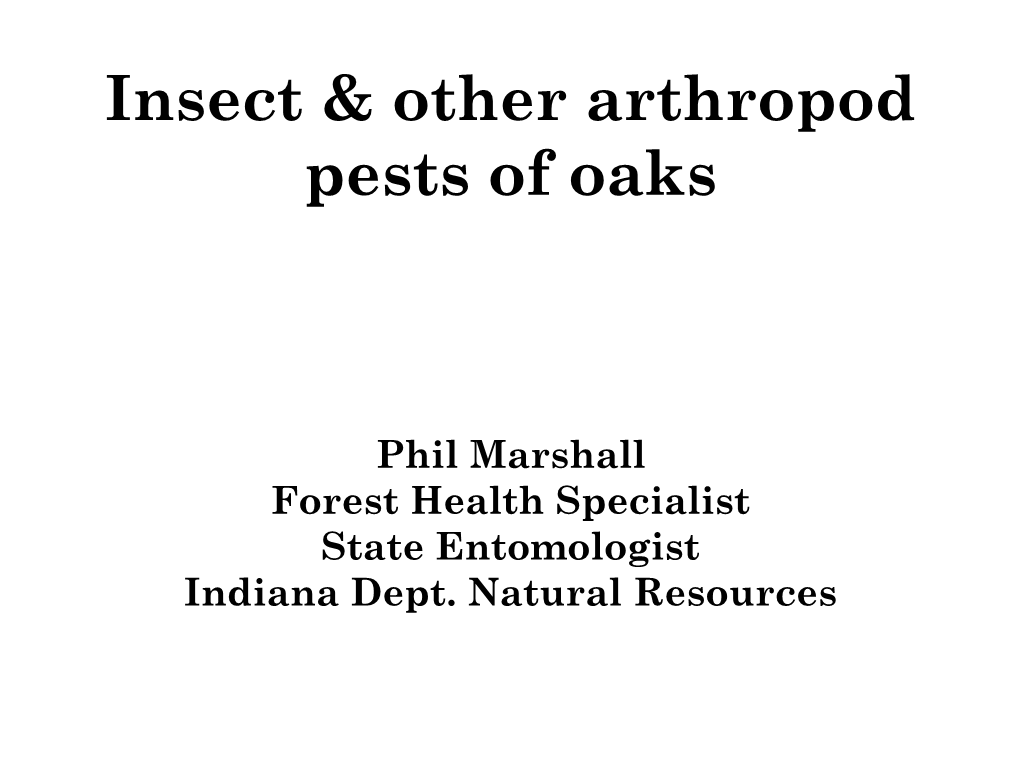 Insect & Other Arthropod Pests of Oaks