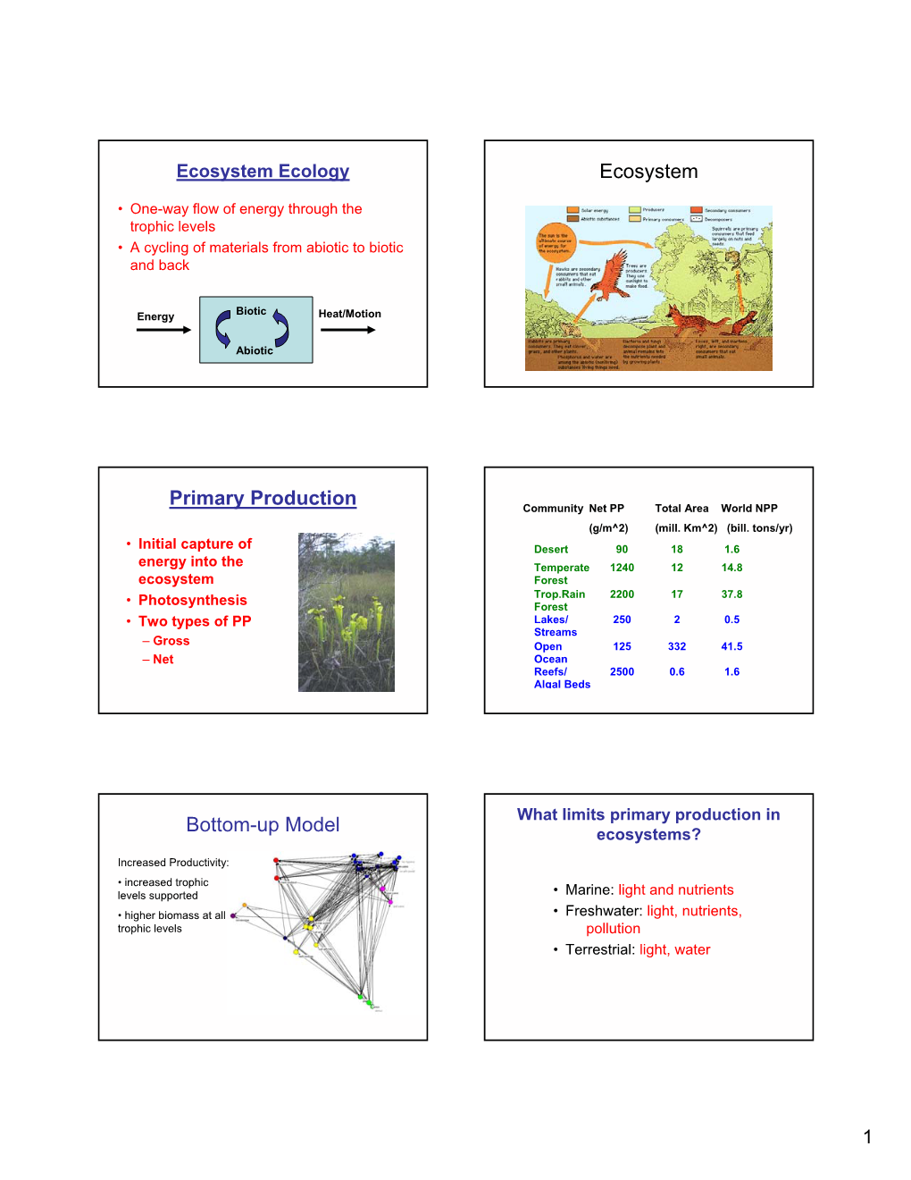 Ecosystem Primary Production Bottom-Up Model