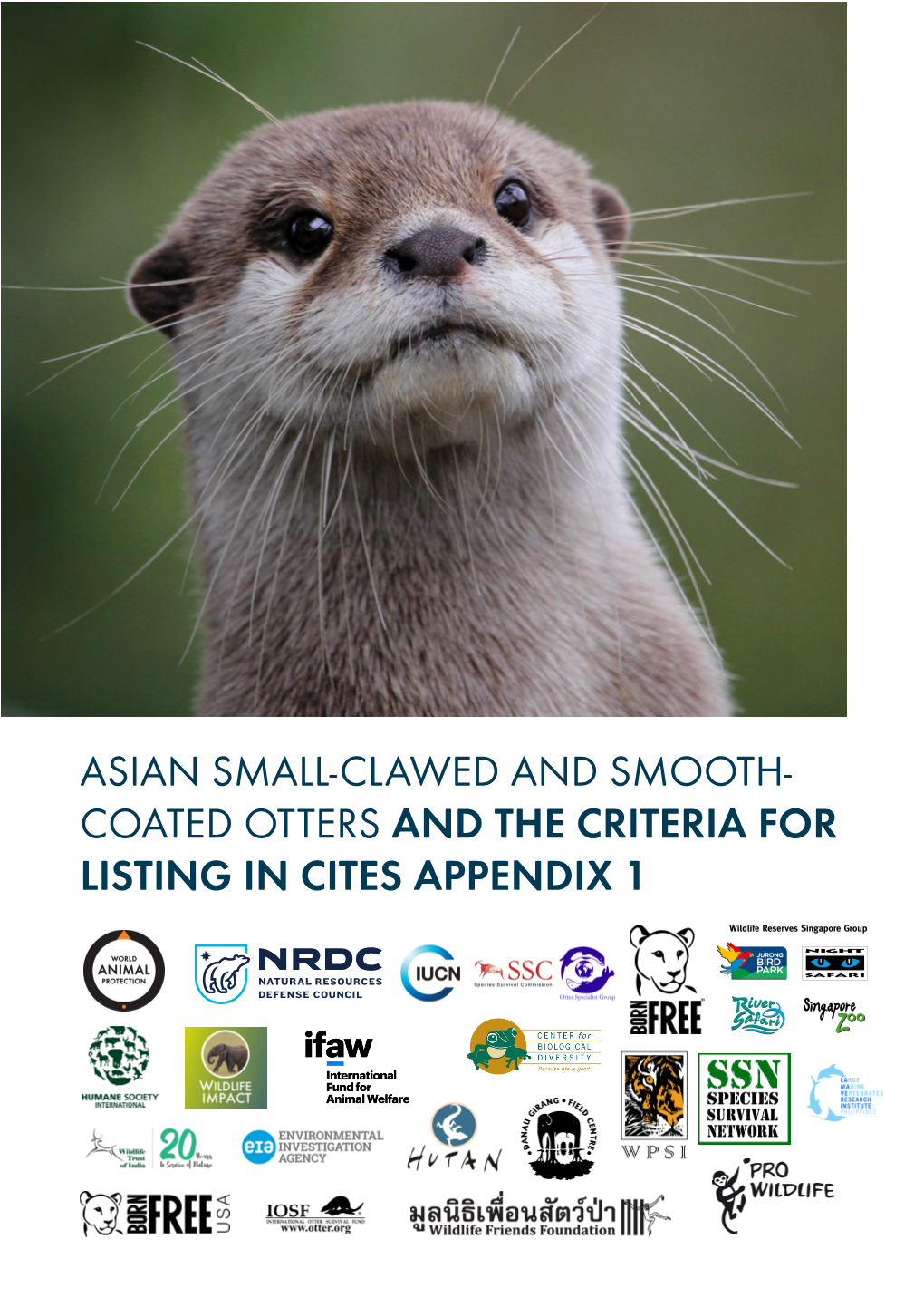 ASIAN SMALL-CLAWED and SMOOTH- COATED OTTERS and the CRITERIA for LISTING in CITES APPENDIX 1 Cover Photo and Photo Above: World Animal Protection BACKGROUND