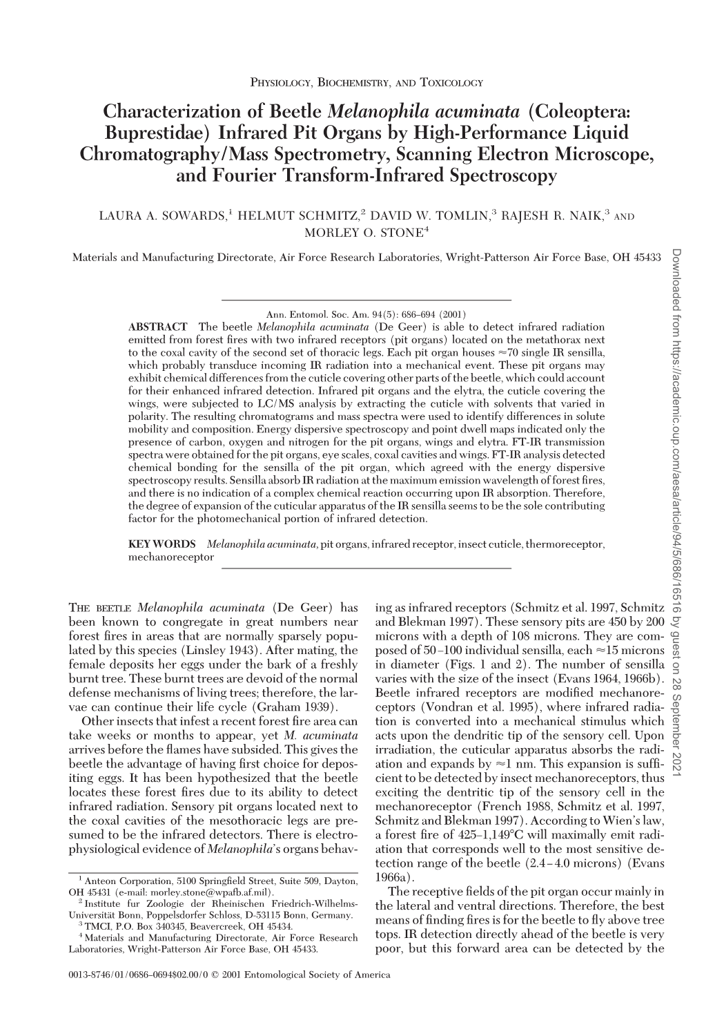 Characterization of Beetle Melanophila Acuminata