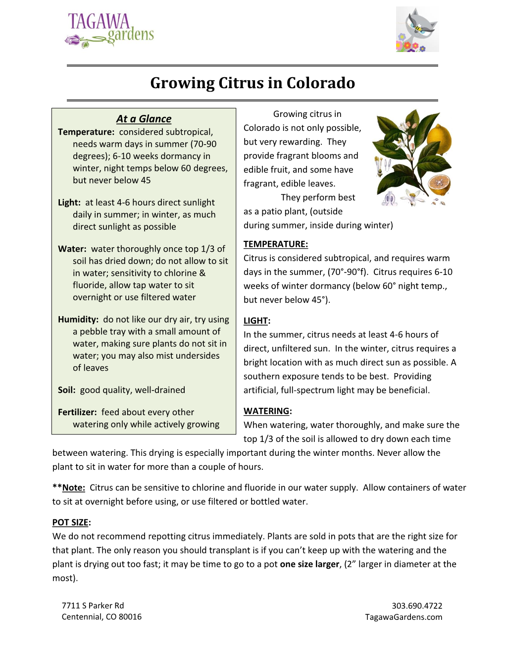 Growing Citrus in Colorado