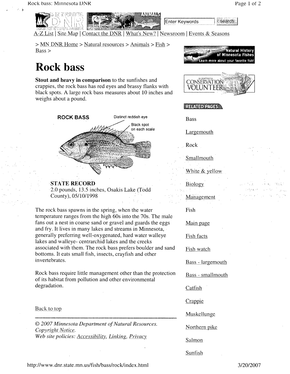 Natural History of Minnesota Fishes: Rock Bass