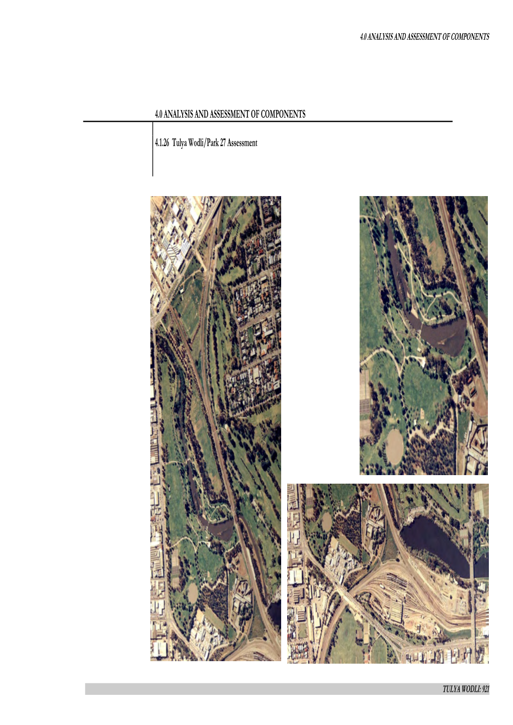 4.0 ANALYSIS and ASSESSMENT of COMPONENTS 4.1.26 Tulya Wodli/Park 27 Assessment