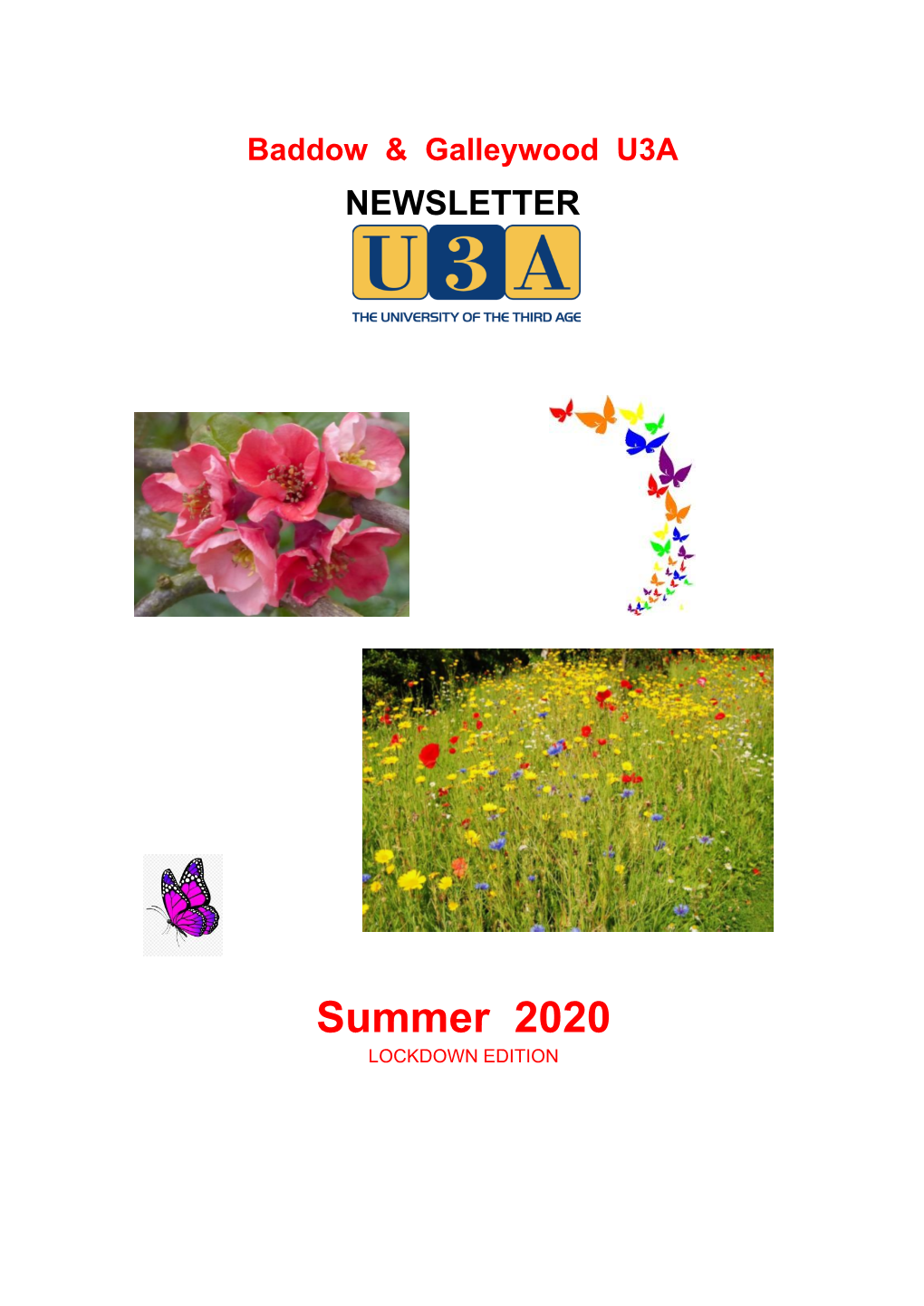 Summer 2020 Newsletter