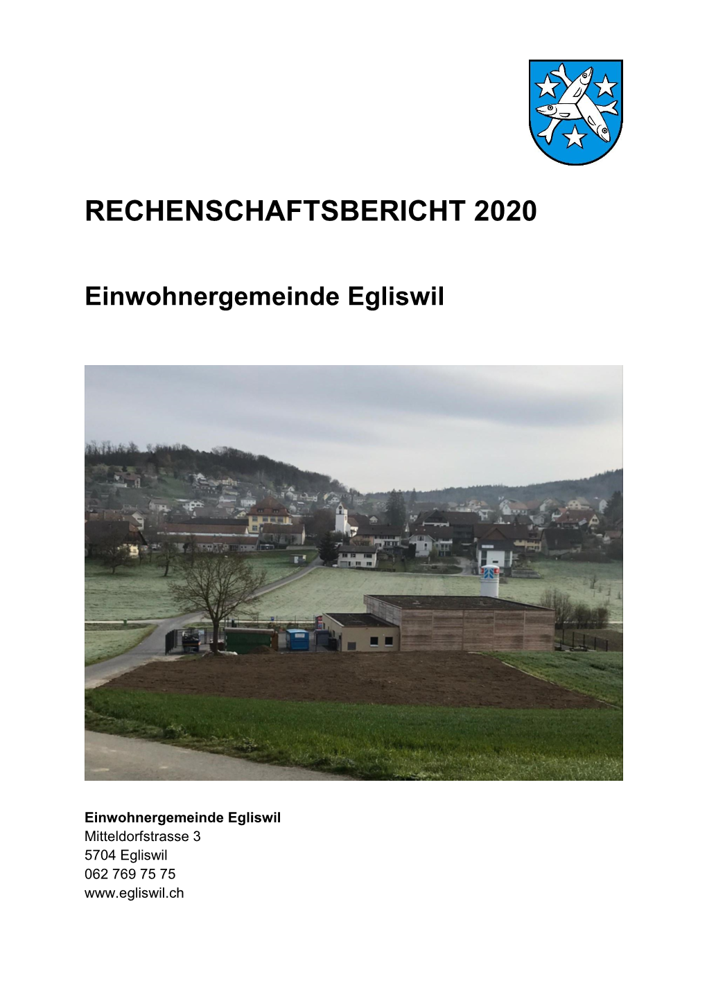 Rechenschaftsbericht 2020