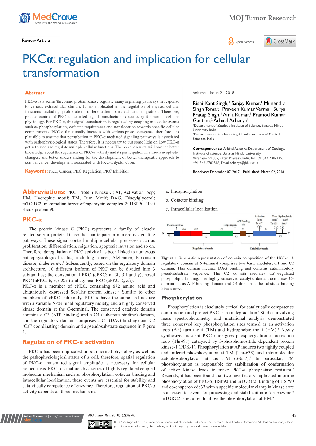 Pkcα: Regulation and Implication for Cellular Transformation