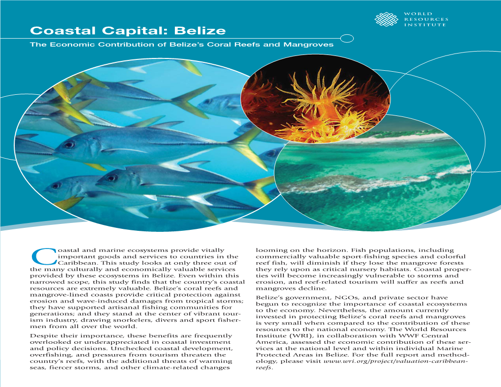 Belize’S Mpas: a Valuable but Under-Funded System Actions Needed Coastal Capital: Belize